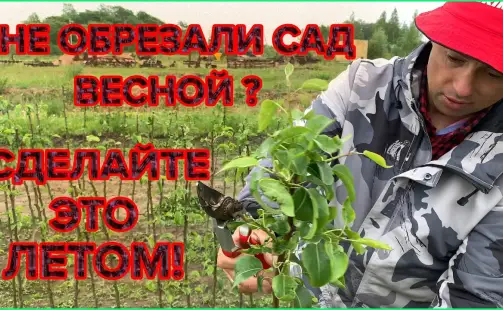 Превью видео