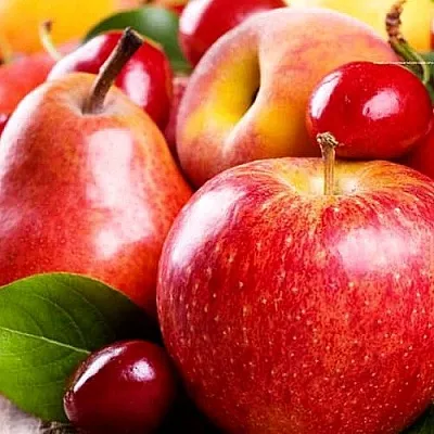 Плодовые деревья  Плодовые деревья в Мичуринске