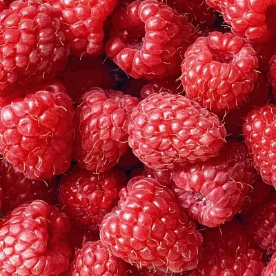 Летняя в Мичуринске